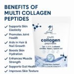 BENEFITS OF MULTI COLLAGEN PEPTIDES